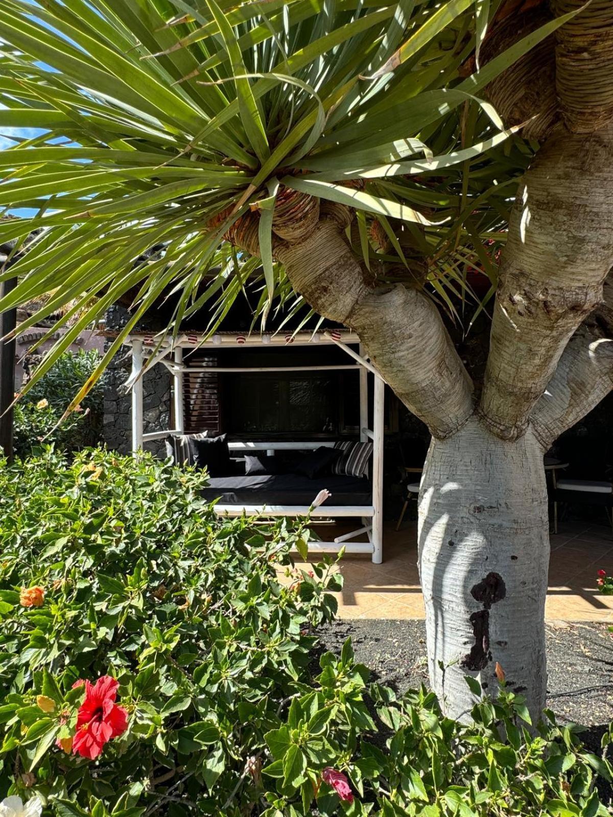 Castillo Lanzarote Villa Bailey - Luxury Villa - Pet Friendly With Heated Pool La Asomada  Luaran gambar