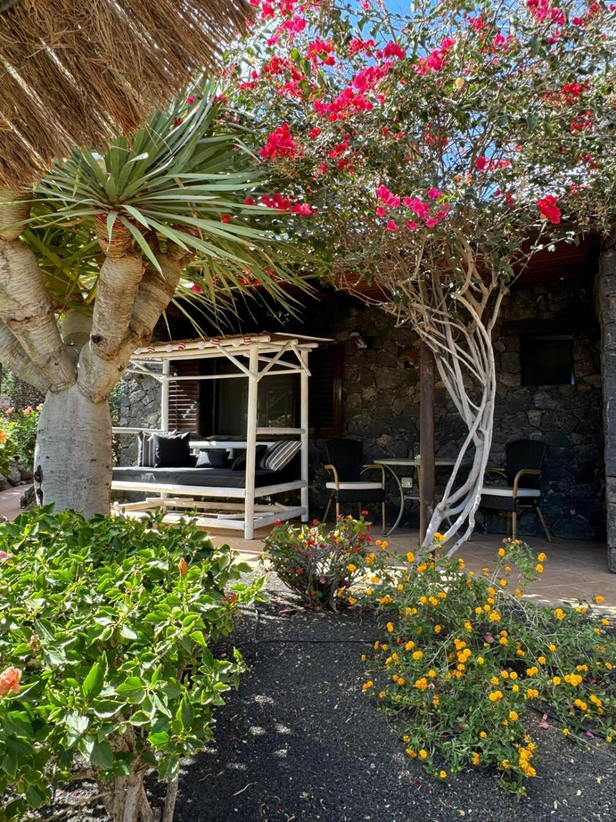 Castillo Lanzarote Villa Bailey - Luxury Villa - Pet Friendly With Heated Pool La Asomada  Luaran gambar